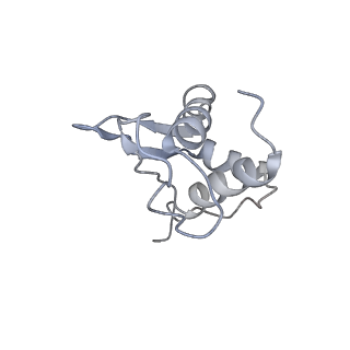 37991_8y0w_SK_v1-0
dormant ribosome with eIF5A, eEF2 and SERBP1