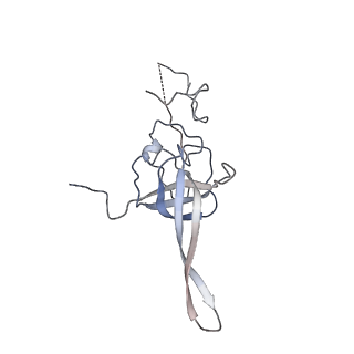 37991_8y0w_SL_v1-0
dormant ribosome with eIF5A, eEF2 and SERBP1