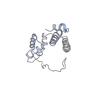 37991_8y0w_SN_v1-0
dormant ribosome with eIF5A, eEF2 and SERBP1