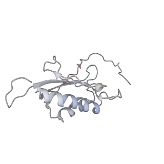 37991_8y0w_SO_v1-0
dormant ribosome with eIF5A, eEF2 and SERBP1