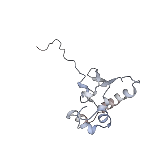 37991_8y0w_SP_v1-0
dormant ribosome with eIF5A, eEF2 and SERBP1