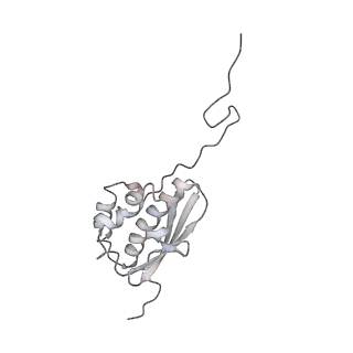 37991_8y0w_SQ_v1-0
dormant ribosome with eIF5A, eEF2 and SERBP1