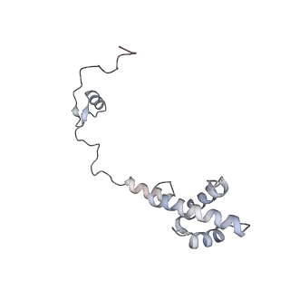 37991_8y0w_SR_v1-0
dormant ribosome with eIF5A, eEF2 and SERBP1