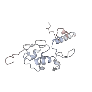 37991_8y0w_SS_v1-0
dormant ribosome with eIF5A, eEF2 and SERBP1