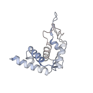 37991_8y0w_ST_v1-0
dormant ribosome with eIF5A, eEF2 and SERBP1
