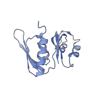 37991_8y0w_SW_v1-0
dormant ribosome with eIF5A, eEF2 and SERBP1