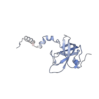 37991_8y0w_SX_v1-0
dormant ribosome with eIF5A, eEF2 and SERBP1