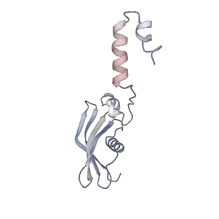 37991_8y0w_SY_v1-0
dormant ribosome with eIF5A, eEF2 and SERBP1