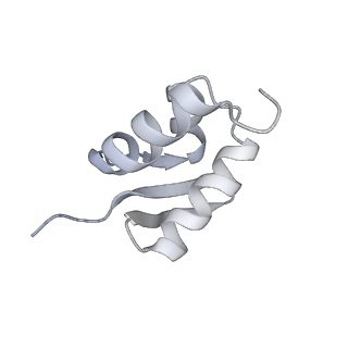 37991_8y0w_SZ_v1-0
dormant ribosome with eIF5A, eEF2 and SERBP1