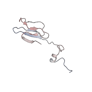 37991_8y0w_Sb_v1-0
dormant ribosome with eIF5A, eEF2 and SERBP1