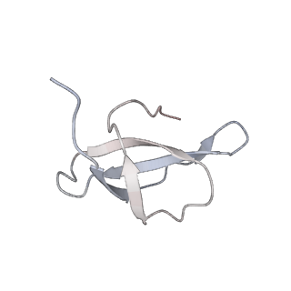 37991_8y0w_Sc_v1-0
dormant ribosome with eIF5A, eEF2 and SERBP1