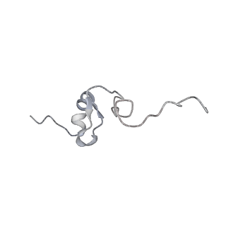 37991_8y0w_Sd_v1-0
dormant ribosome with eIF5A, eEF2 and SERBP1
