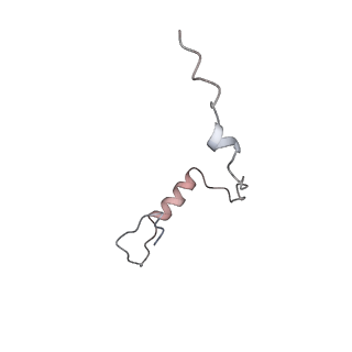 37991_8y0w_Se_v1-0
dormant ribosome with eIF5A, eEF2 and SERBP1