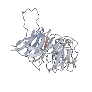 37991_8y0w_Sg_v1-0
dormant ribosome with eIF5A, eEF2 and SERBP1