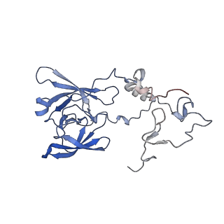 37992_8y0x_LA_v1-0
Dormant ribosome with SERBP1