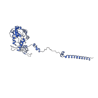 37992_8y0x_LC_v1-0
Dormant ribosome with SERBP1