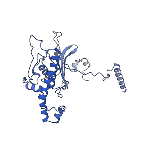 37992_8y0x_LD_v1-0
Dormant ribosome with SERBP1