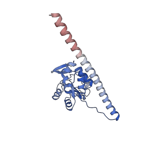 37992_8y0x_LF_v1-0
Dormant ribosome with SERBP1