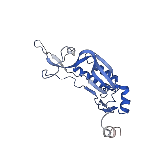 37992_8y0x_LI_v1-0
Dormant ribosome with SERBP1