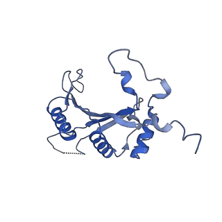 37992_8y0x_LJ_v1-0
Dormant ribosome with SERBP1