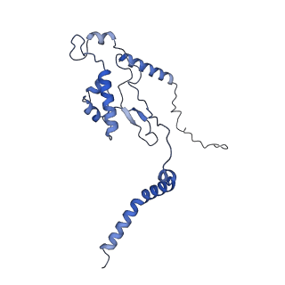 37992_8y0x_LL_v1-0
Dormant ribosome with SERBP1