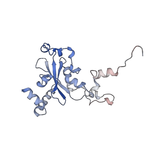 37992_8y0x_LN_v1-0
Dormant ribosome with SERBP1