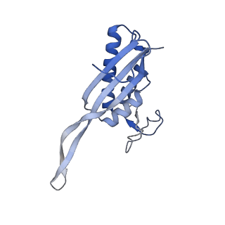 37992_8y0x_LP_v1-0
Dormant ribosome with SERBP1