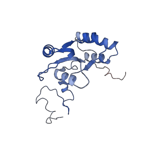 37992_8y0x_LQ_v1-0
Dormant ribosome with SERBP1