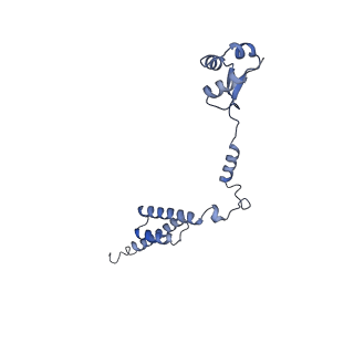 37992_8y0x_LR_v1-0
Dormant ribosome with SERBP1