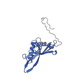 37992_8y0x_LS_v1-0
Dormant ribosome with SERBP1