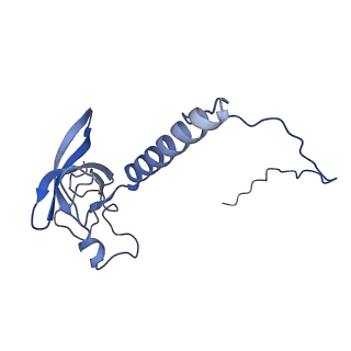 37992_8y0x_LT_v1-0
Dormant ribosome with SERBP1