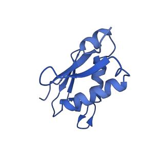 37992_8y0x_LU_v1-0
Dormant ribosome with SERBP1