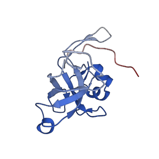 37992_8y0x_LV_v1-0
Dormant ribosome with SERBP1