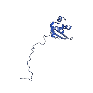 37992_8y0x_LX_v1-0
Dormant ribosome with SERBP1