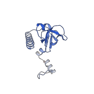 37992_8y0x_LY_v1-0
Dormant ribosome with SERBP1