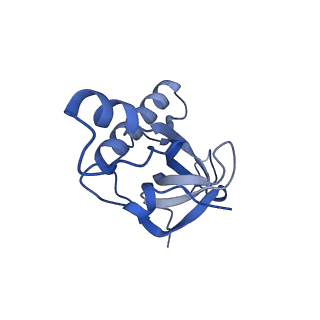 37992_8y0x_LZ_v1-0
Dormant ribosome with SERBP1