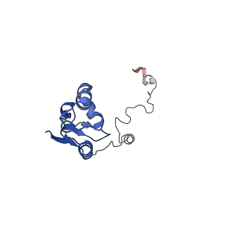 37992_8y0x_La_v1-0
Dormant ribosome with SERBP1