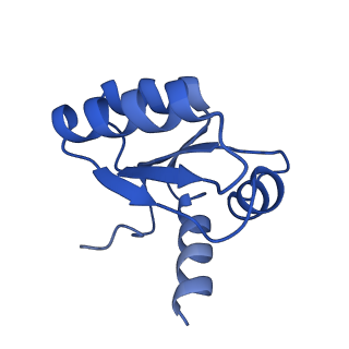 37992_8y0x_Lc_v1-0
Dormant ribosome with SERBP1