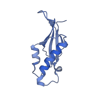 37992_8y0x_Ld_v1-0
Dormant ribosome with SERBP1