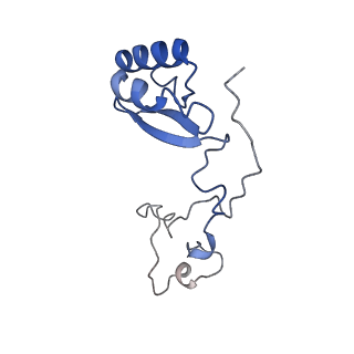 37992_8y0x_Le_v1-0
Dormant ribosome with SERBP1