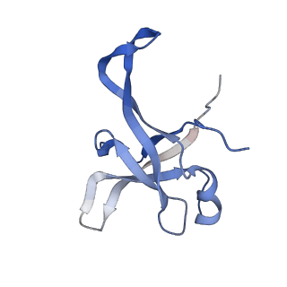 37992_8y0x_Lf_v1-0
Dormant ribosome with SERBP1