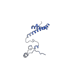 37992_8y0x_Lh_v1-0
Dormant ribosome with SERBP1