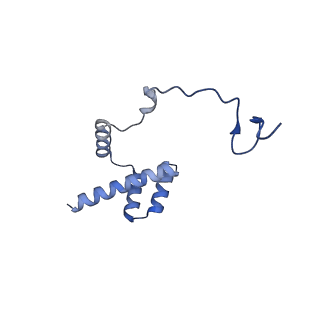 37992_8y0x_Li_v1-0
Dormant ribosome with SERBP1