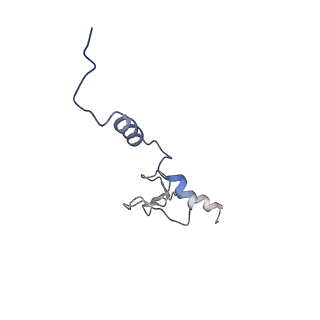 37992_8y0x_Lj_v1-0
Dormant ribosome with SERBP1