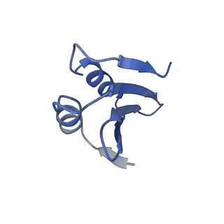 37992_8y0x_Lk_v1-0
Dormant ribosome with SERBP1