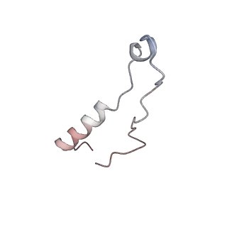 37992_8y0x_Ll_v1-0
Dormant ribosome with SERBP1