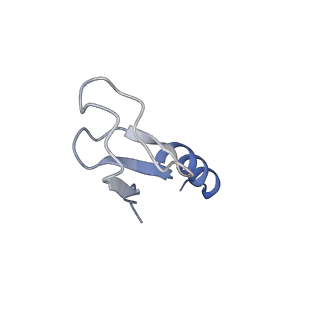 37992_8y0x_Lm_v1-0
Dormant ribosome with SERBP1