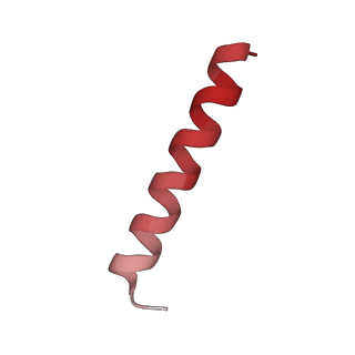 37992_8y0x_Ln_v1-0
Dormant ribosome with SERBP1