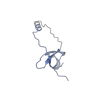 37992_8y0x_Lo_v1-0
Dormant ribosome with SERBP1