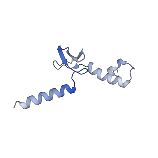 37992_8y0x_Lp_v1-0
Dormant ribosome with SERBP1